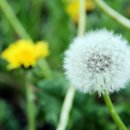 서경민박 이미지