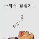 뿔난여우 이미지