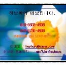 허브애 네이버블로그