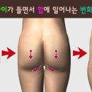 힙프로짐 이미지