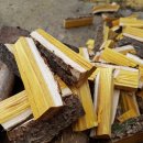 옻나무집 이미지