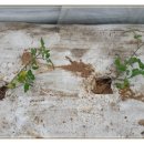 (주)휴팜 이미지