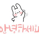 뚜레쥬르.시카고