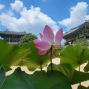 용화사