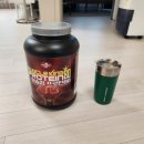 머슬킹 | 가성비 좋은 단백질 보충제 머슬킹 프로틴80 후기