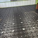 서라벌초등학교 이미지