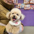 묭
