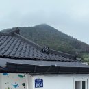 카멜리아펜션민박 네이버블로그