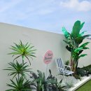 스테이(A) 이미지