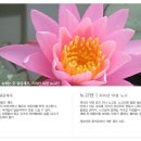 지리산장펜션 이미지