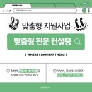 다미파트너스