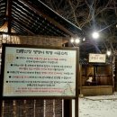 댕댕학당 이미지