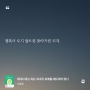 영대입구 철칙 이거예요? 💯 이미지