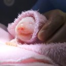 쌍둥이민박 네이버블로그