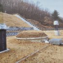 행복나무예술심리센터