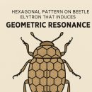 기하학적 공명을 일으키는 곤충 날개덮개의 육각형 구조 이미지