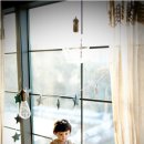 옥길동 726-5 이미지