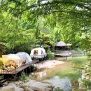 도전캠핑장 이미지