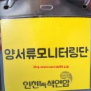인천녹색연합] 철새들 서식지 자연속 힐링 공촌천 양서류모니터링 아카이브
