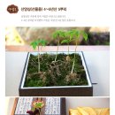 대견농장 이미지