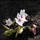 창원대로-1 이미지