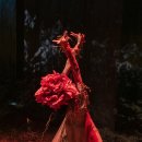 바다로 가는 사람들 이미지