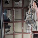 에스앤씨컴퍼니 이미지