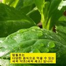 김재덕 농장 이미지