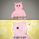 역삼 돝고기506 / 텀블러비어