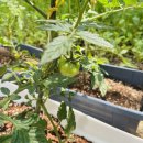 경기종묘사 이미지