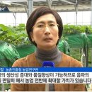 신진그린 이미지