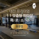 페르소나 피티 이미지