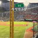 정우실업 | 부산 사직야구장 쓰리디즘글라스존 6인 337블럭 2열 시야