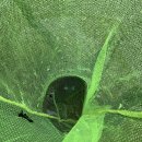 포레스트리 | 강원도 캠핑장 예약 후기 원주 포레스트리 카라반