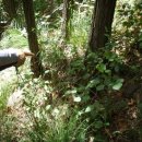 화동초등 이미지