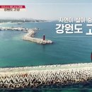 (주)바이크트립 이미지