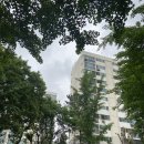 경일초교사거리중앙교통섬-주공 10단지 앞 | [임장] 광명역 철산역 부근 임장 분석: 2023 vs 2026, 무엇이 달라졌나? (2023. 05. 21. 기준)