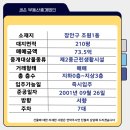 수요야간요가 이미지