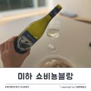 미하랑 | 화이트와인 추천 미하 쇼비뇽블랑 고래와인 후기