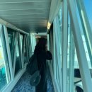 김밥먹고갑시다 | [H03]인천-두바이 EK0323, 두바이-모리셔스 EK0703 에미레이트항공 탑승 및 환승후기(기내식, 좌석)