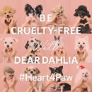 포포(For paw) 이미지