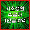 기초생활수급자 1인급여액 총정리! 이미지