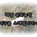윤희농장 이미지
