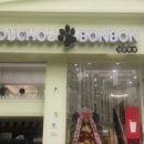 예쁜 애견 미용 이미지