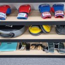 더원 복싱 스타디움 이미지