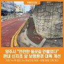신지초 이미지