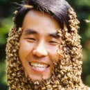 (주)원삼양봉산업 | 안상규 벌꿀기업의 벌꿀사옥, 여의도 이색카페 안스허니카페 천연벌꿀매장