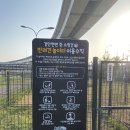 경안천 | [용인] 경안천 반려견 놀이터 후기