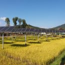 쿠키 태양광발전소 이미지