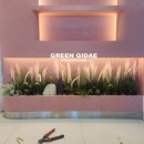 푸른식물병원 이미지